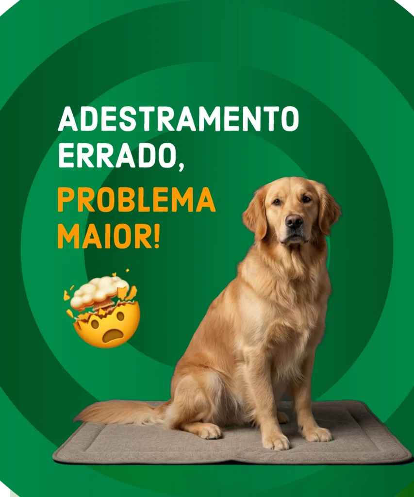 Dra. Bianca Santana com um cão