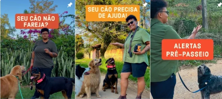 Instagram Dog PhD